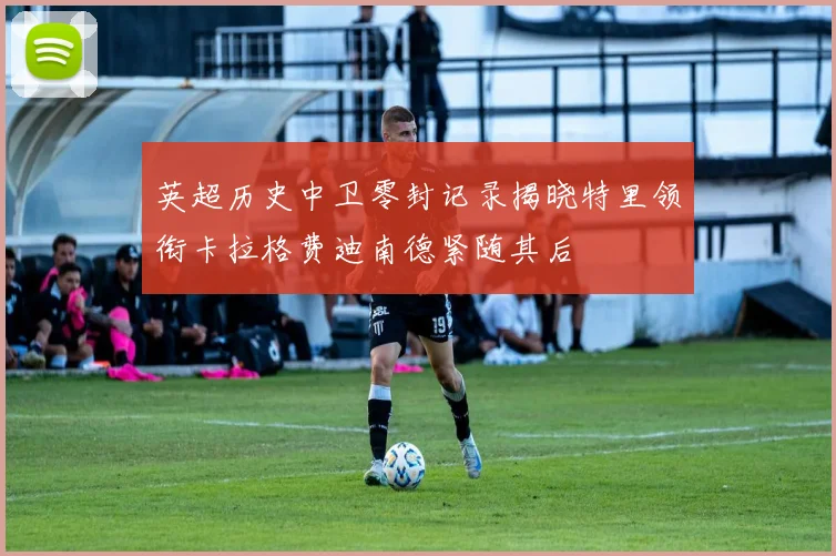 英超历史中卫零封记录揭晓特里领衔卡拉格费迪南德紧随其后