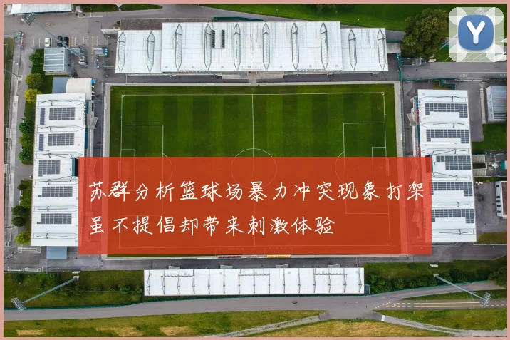 苏群分析篮球场暴力冲突现象打架虽不提倡却带来刺激体验