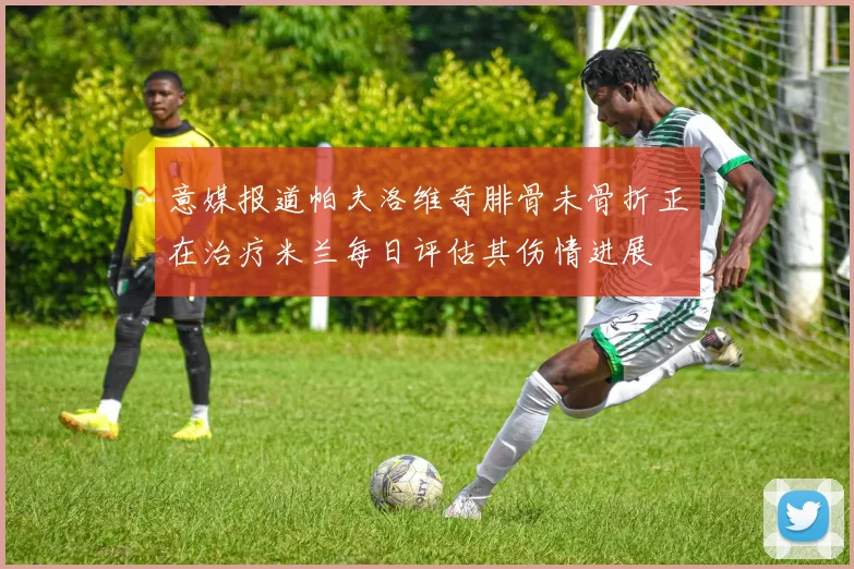 意媒报道帕夫洛维奇腓骨未骨折正在治疗米兰每日评估其伤情进展