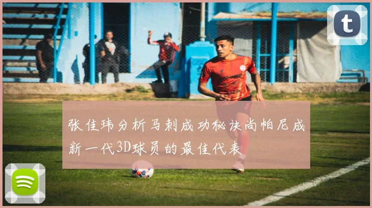 张佳玮分析马刺成功秘诀尚帕尼成新一代3D球员的最佳代表