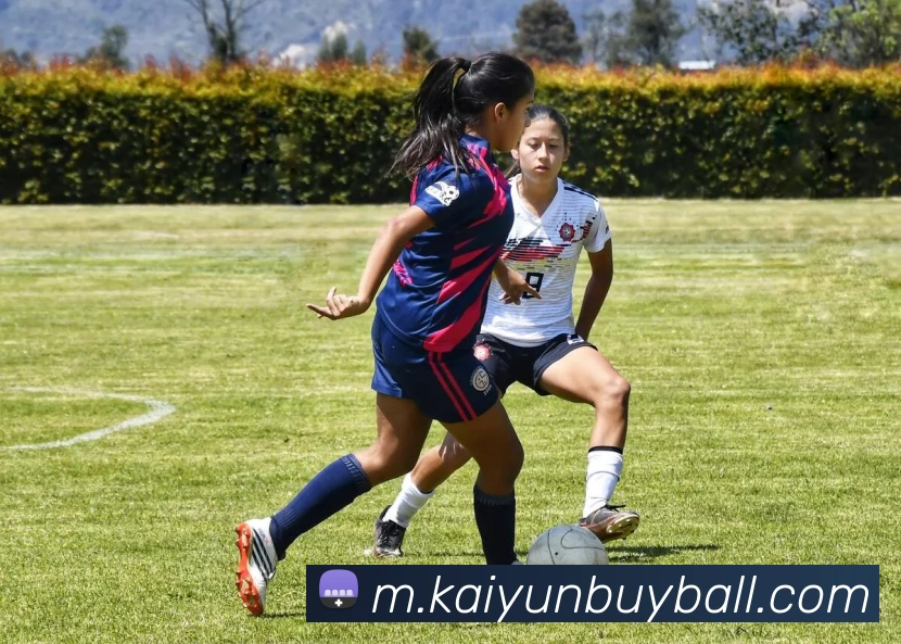 开云体育APP 体育赛事宣传图